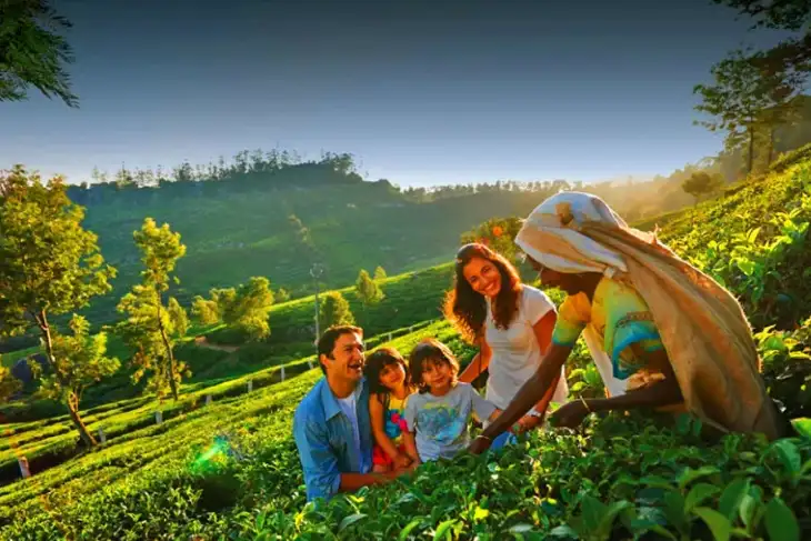 Kerala Family Tour Package